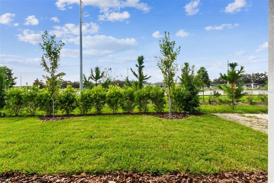 Natural landscape and outdoor views near Chapel Crossings - Garden Series in Wesley Chapel (Image 33).