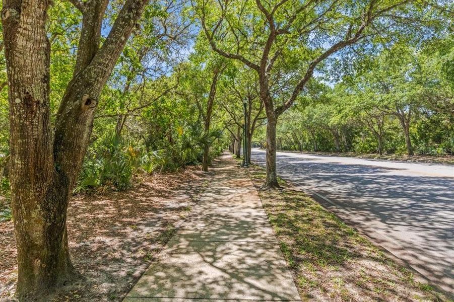 Natural landscape and outdoor views near Windchase at Halifax Plantation in Ormond Beach (Image 64). Natural landscape and outdoor views near Windchase at Halifax Plantation in Ormond Beach (Image 64).