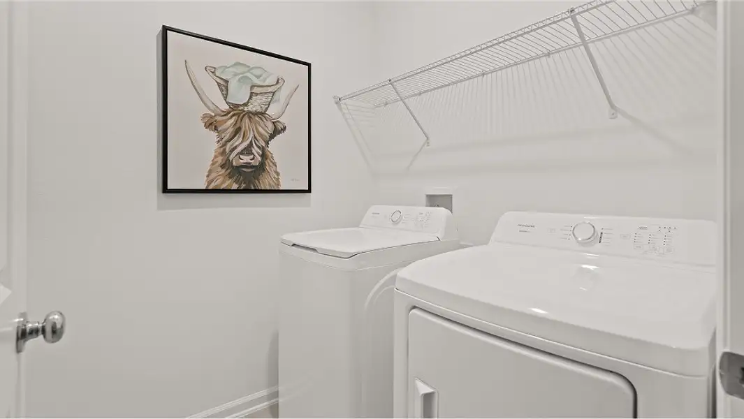 1835 Vivid Laundry F2 9 24 25 1835 Vivid Laundry F2 9 24 25