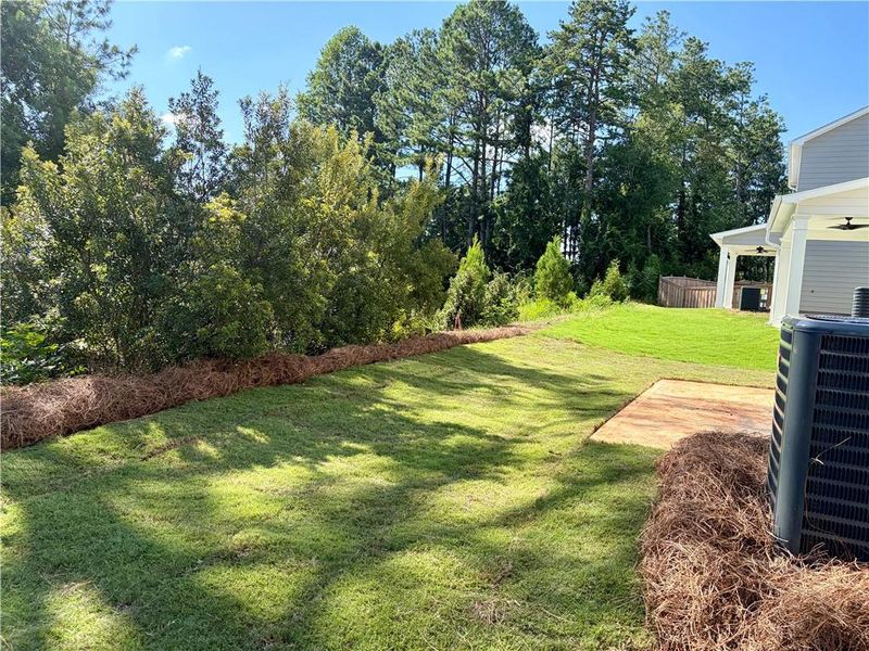 Natural landscape and outdoor views near Winsome Park in Woodstock (Image 32).