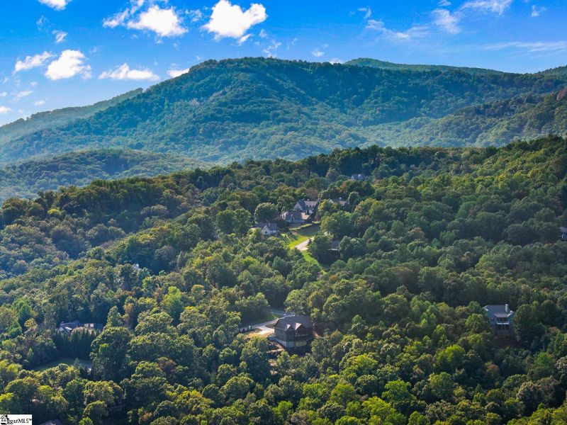 Natural landscape and outdoor views near Greenville County Homes in Landrum (Image 30).