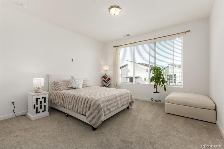 Primary bedroom with walk-in closet and bathroom