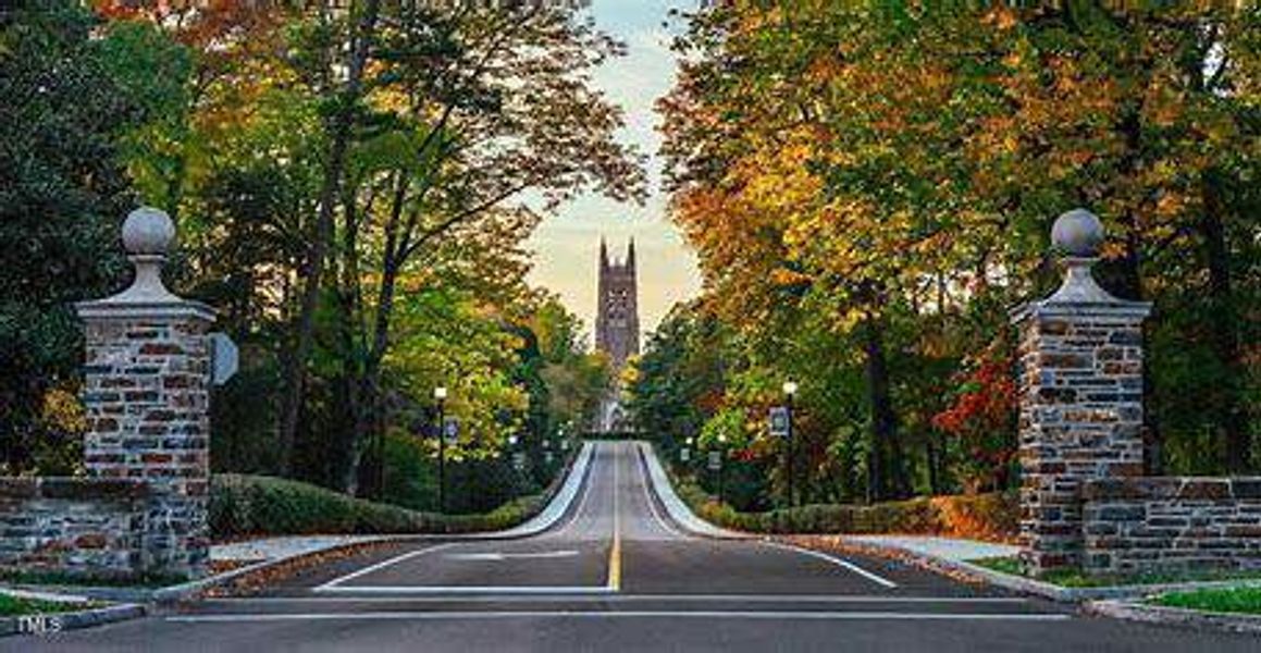 11. Duke University