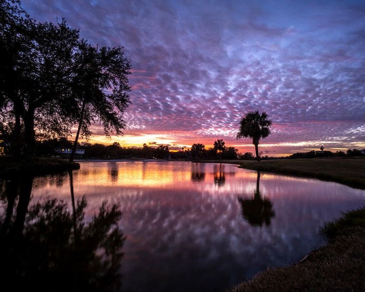 Natural landscape and outdoor views near  in Isle Of Palms (Image 7).
