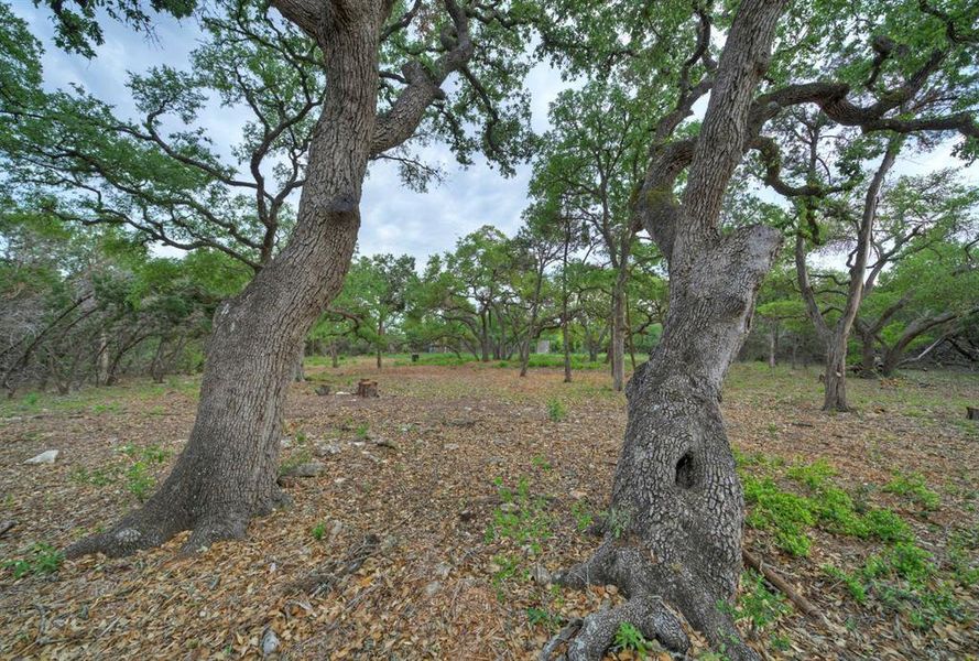 Natural landscape and outdoor views near in Austin (Image 13). Natural landscape and outdoor views near in Austin (Image 13).