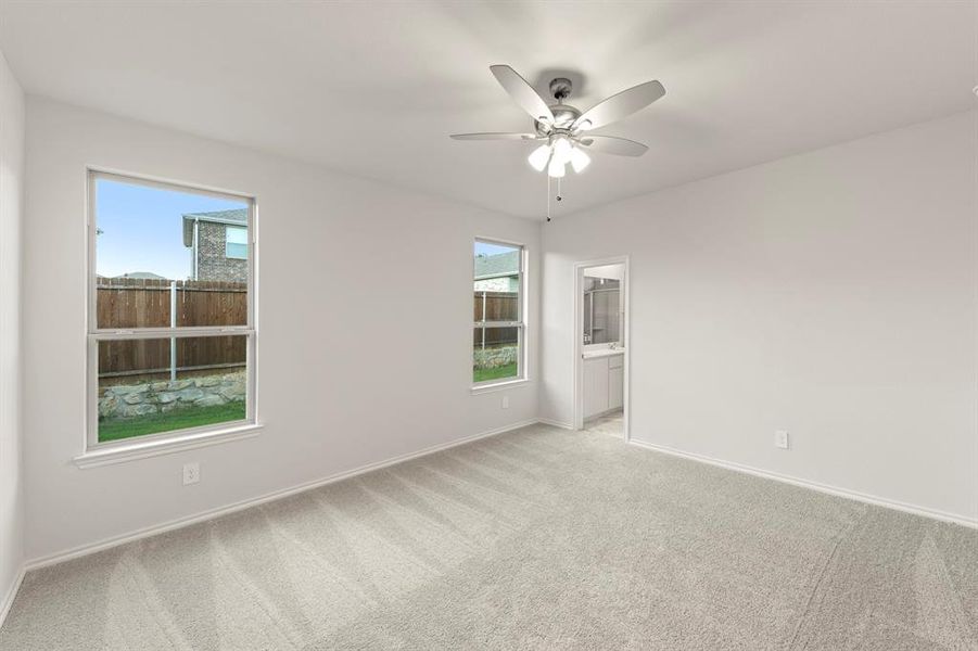 17. 3118 Yellow Pine - Primary