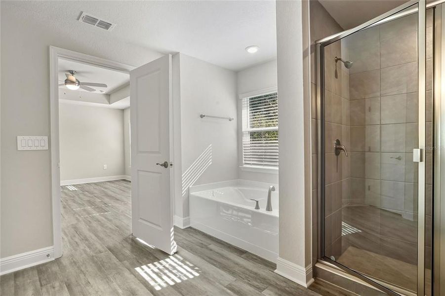 Furnished interior view inside a new home in , Lakeland (Image 8).