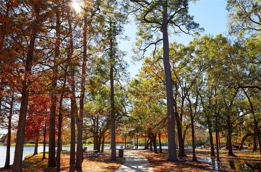 Herman Park Herman Park