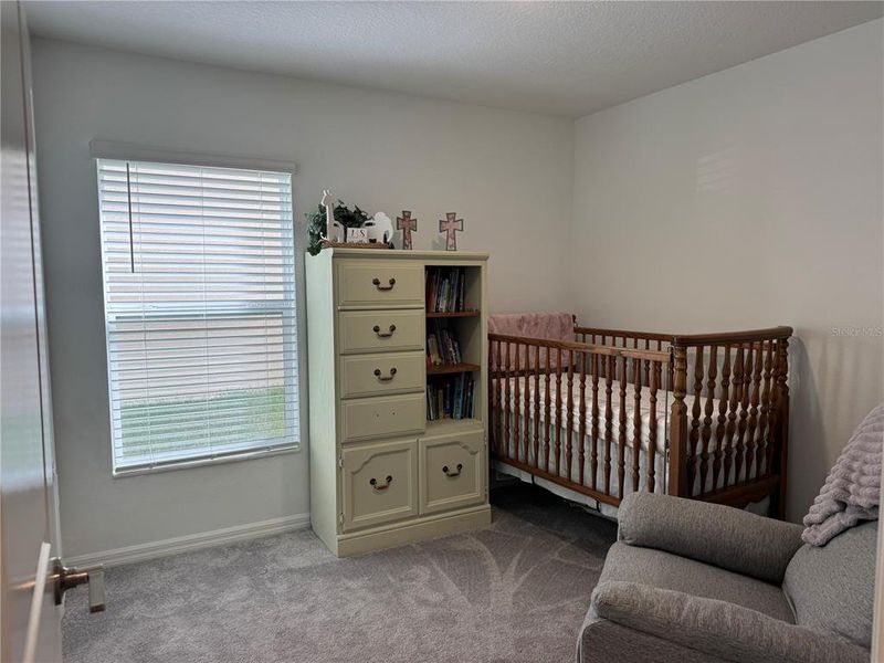 Furnished interior view inside a new home in Prosperity Lakes, Parrish (Image 7).