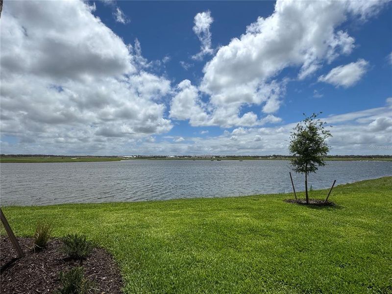 Natural landscape and outdoor views near  in Bradenton (Image 14).