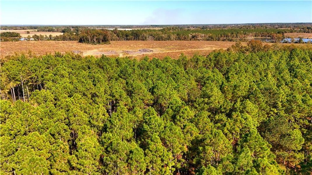 Natural landscape and outdoor views near  in Chester (Image 27).