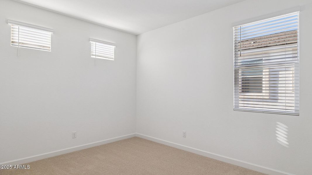 3985_Phoenician_Lot 2081_Aloravita_Peori 3985_Phoenician_Lot 2081_Aloravita_Peori