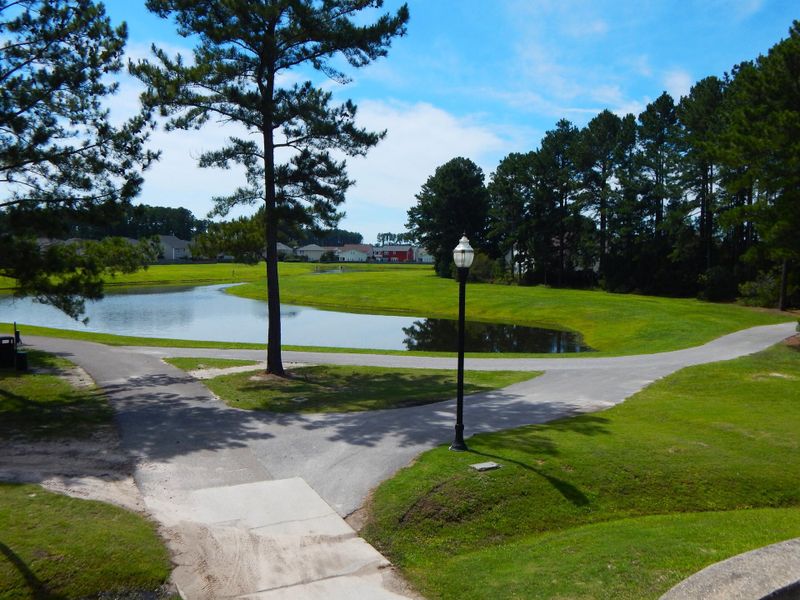 Natural landscape and outdoor views near  in Summerville (Image 26).