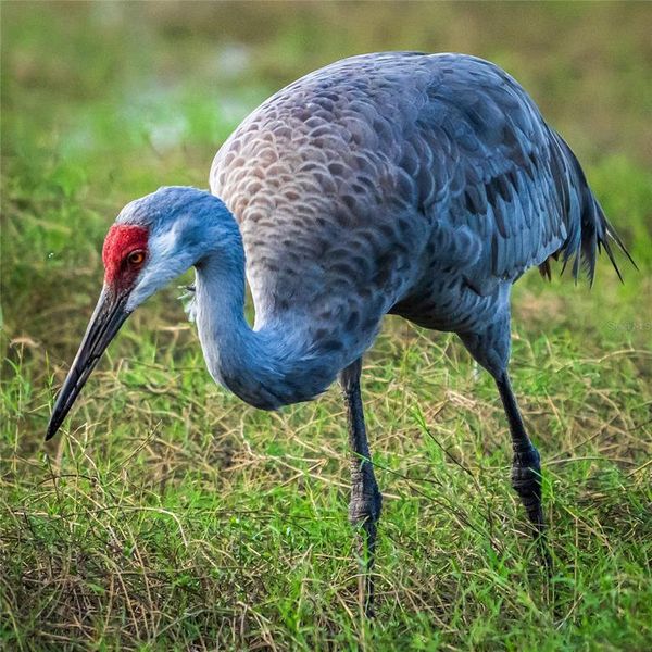 Natural landscape and outdoor views near in Placida (Image 54). Natural landscape and outdoor views near in Placida (Image 54).
