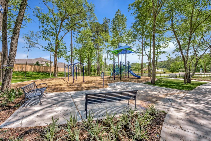 Community amenities in Pine Lake Cove - Classic Series, Montgomery (Image 3).