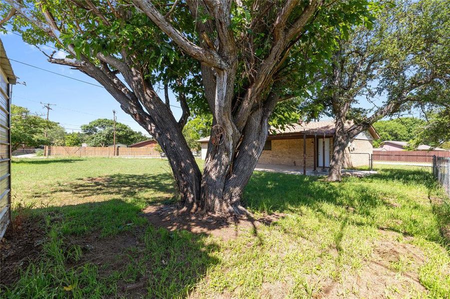 Natural landscape and outdoor views near  in Brownwood (Image 24).