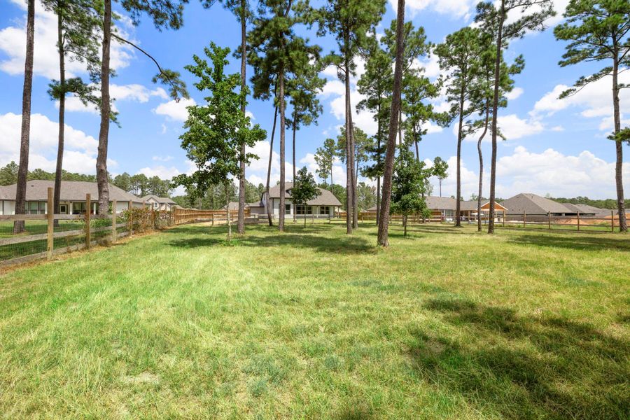 Expansive backyard with lush grass and tall trees, surrounded by a charming wooden fence, offering privacy and a serene setting.