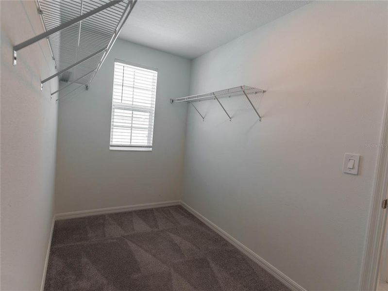 Spacious, unfurnished interior of a new home in The Isle of Avalon, Spring Hill (Image 24).