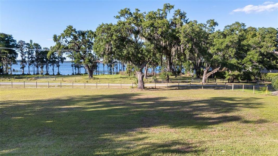 Natural landscape and outdoor views near  in Thonotosassa (Image 37).