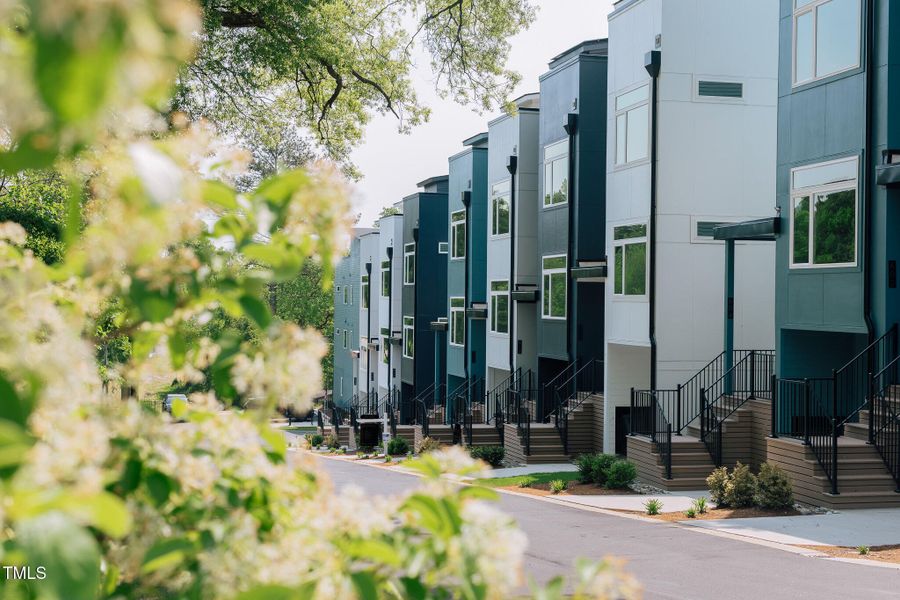 City Hike_CU_11 City Hike_CU_11