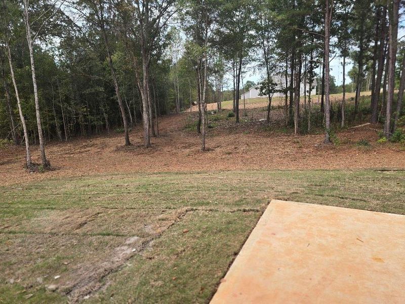 Natural landscape and outdoor views near Waters Edge in Mansfield (Image 15).