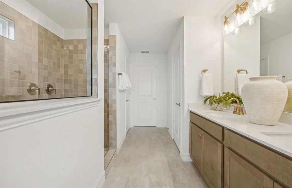 Owner's bath *model representation