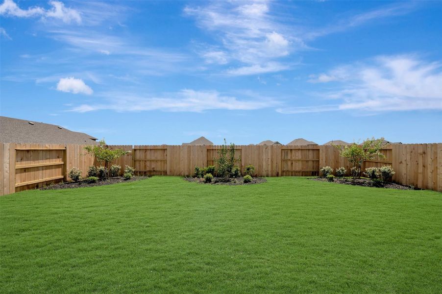 Lush landscaping in the backyard