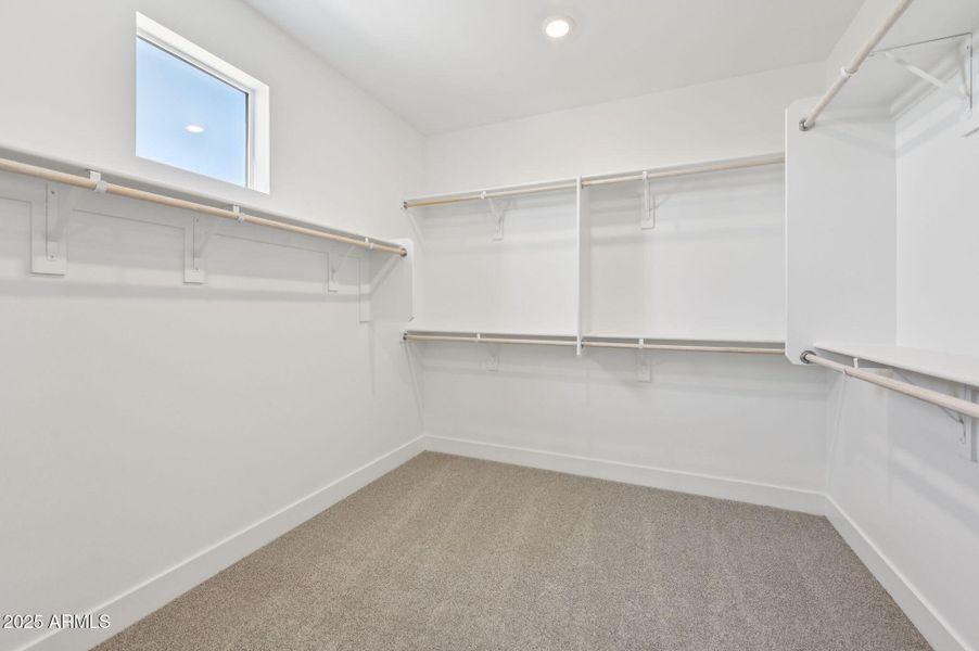 Primary Bedroom View E