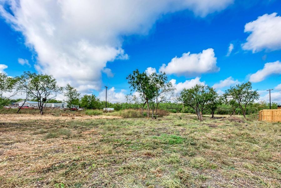 Mature trees dot this open, grassy acreage under a vast sky.