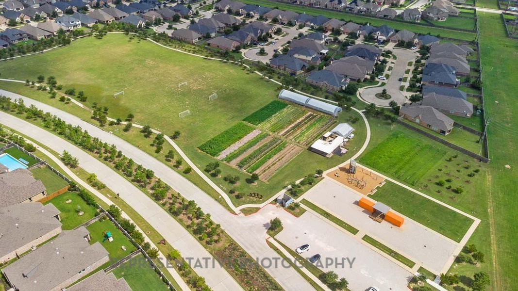 Image 6 of a home in Jordan Ranch: 65ft. lots. Image 6 of a home in Jordan Ranch: 65ft. lots.