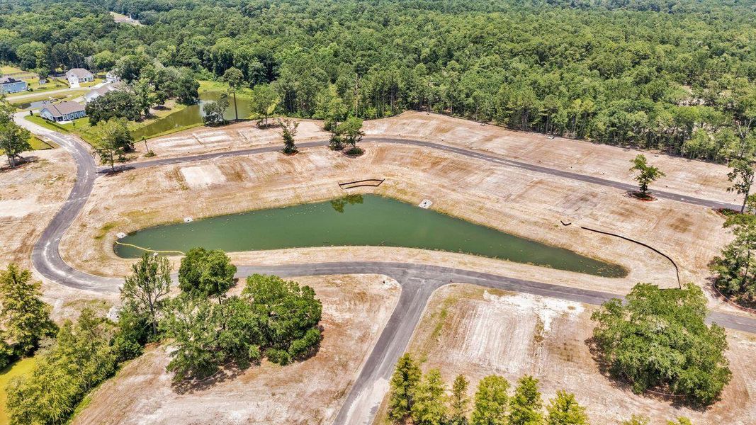 Site preparation for new homesites in Kings River Preserve, Hollywood (Image 59).