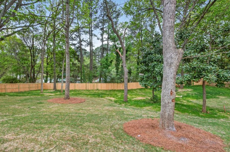 Natural landscape and outdoor views near  in Sugar Hill (Image 41).