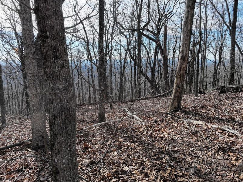 Image 32 of a home in .