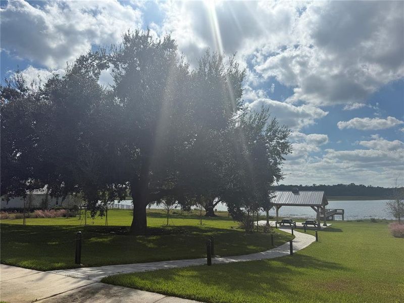 Natural landscape and outdoor views near West Hill Estates in Dade City (Image 28).