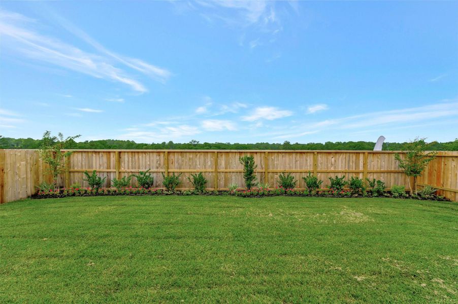 Lush landscaping in the backyard