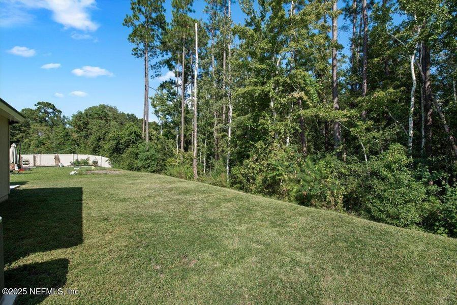 Natural landscape and outdoor views near Willow Springs in Green Cove Springs (Image 41). Natural landscape and outdoor views near Willow Springs in Green Cove Springs (Image 41).