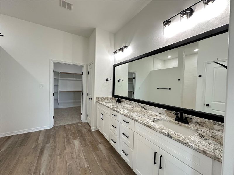Bathroom featuring double vanity, a walk in closet, and dark wood-style floors