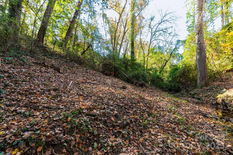 Land behind creek Land behind creek