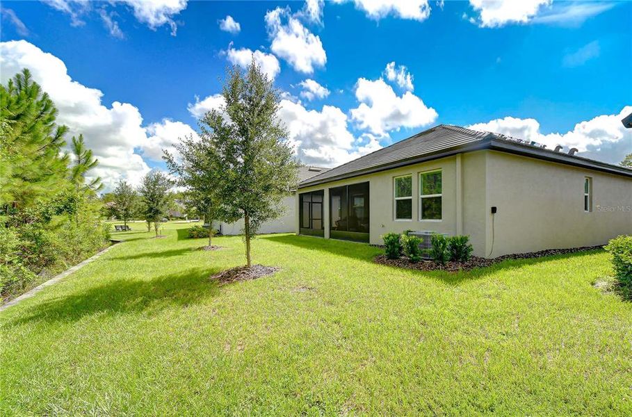 Exterior details and patio area of a home in Angeline Active Adult, Land O' Lakes (Image 3).