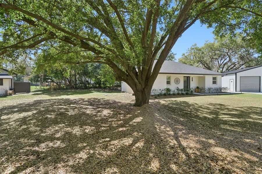 Natural landscape and outdoor views near  in Minneola (Image 33).