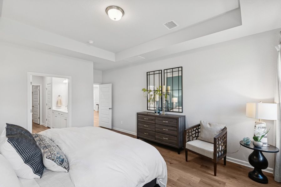 The Robin II- Primary Suite with Tray Ceiling