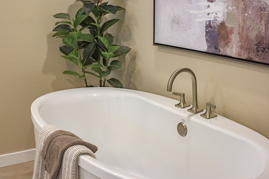 San Tan Valley, AZ New Home.  - Slide 9