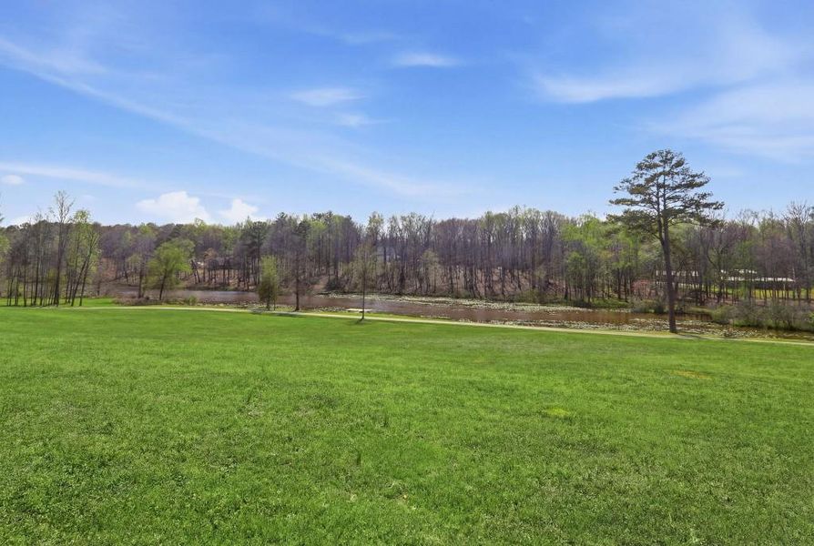 Natural landscape and outdoor views near  in Senoia (Image 112).