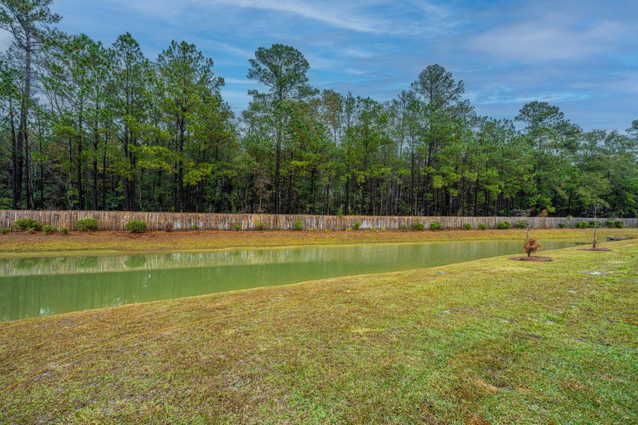 Natural landscape and outdoor views near Dawson Branch in Summerville (Image 23).