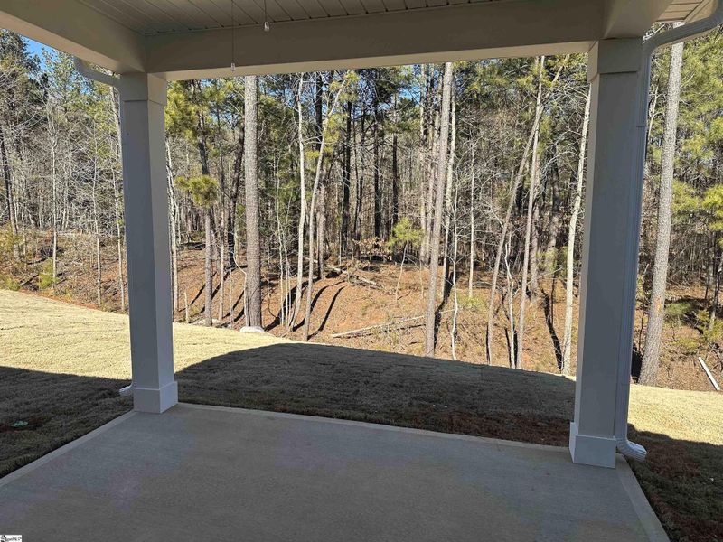 Exterior details and patio area of a home in Shiloh Trail, Wellford (Image 27).
