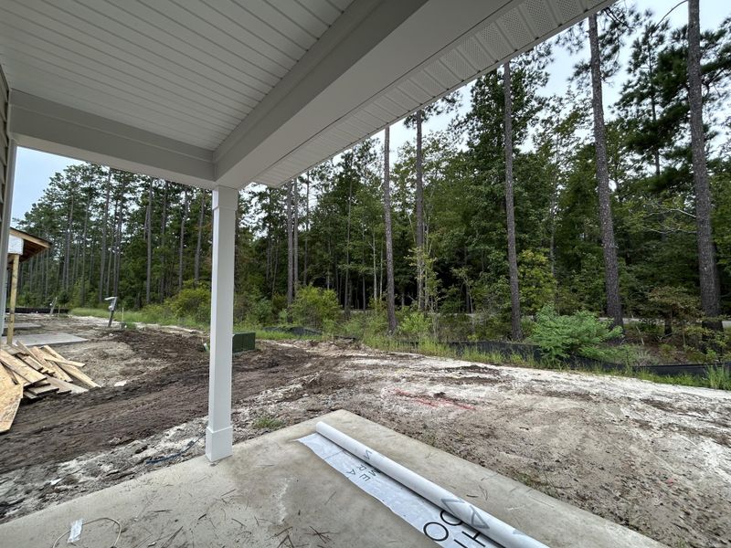 Image 44 of a home in Hammock Walk at Nexton.