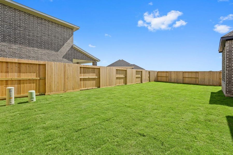 Backyard