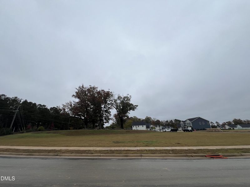 Adjacent Greenspace