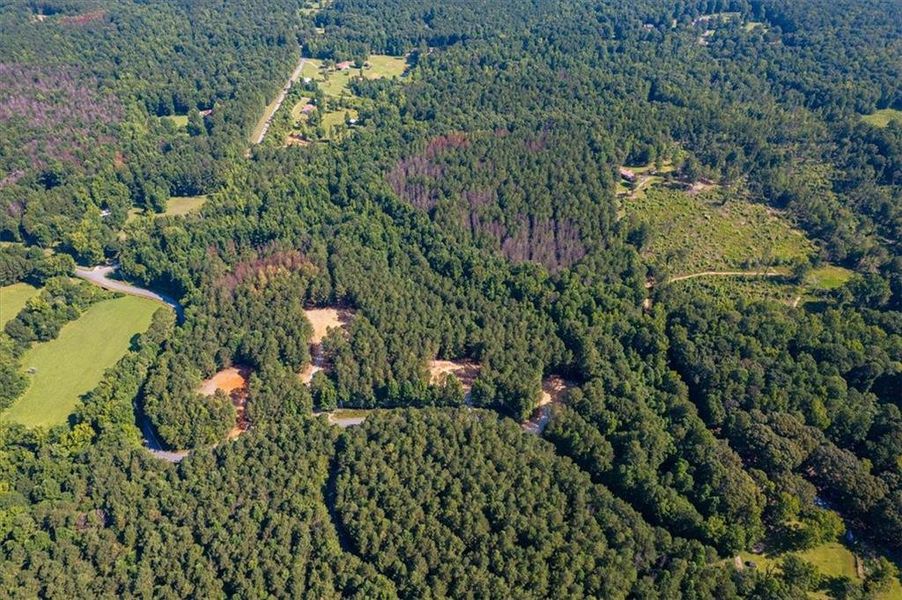 Natural landscape and outdoor views near  in Rockmart (Image 34).