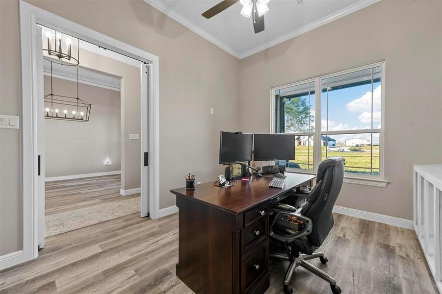 Office area with light hardwood / wood-style flooring, ceiling fan, and crown molding